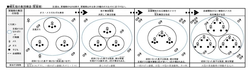 哺乳類の集団構造